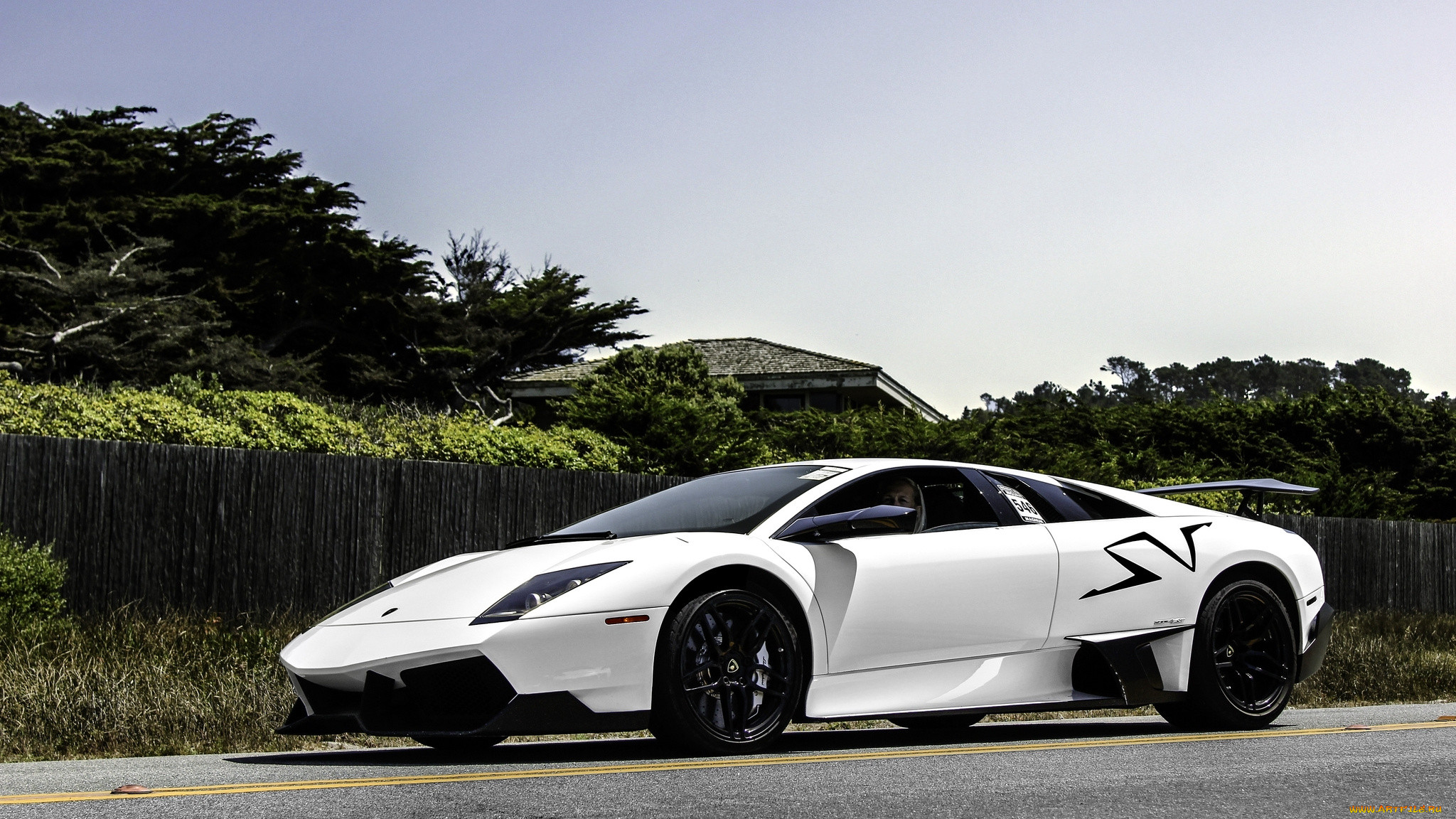 lamborghini, murcielago, , , , automobili, s, p, a